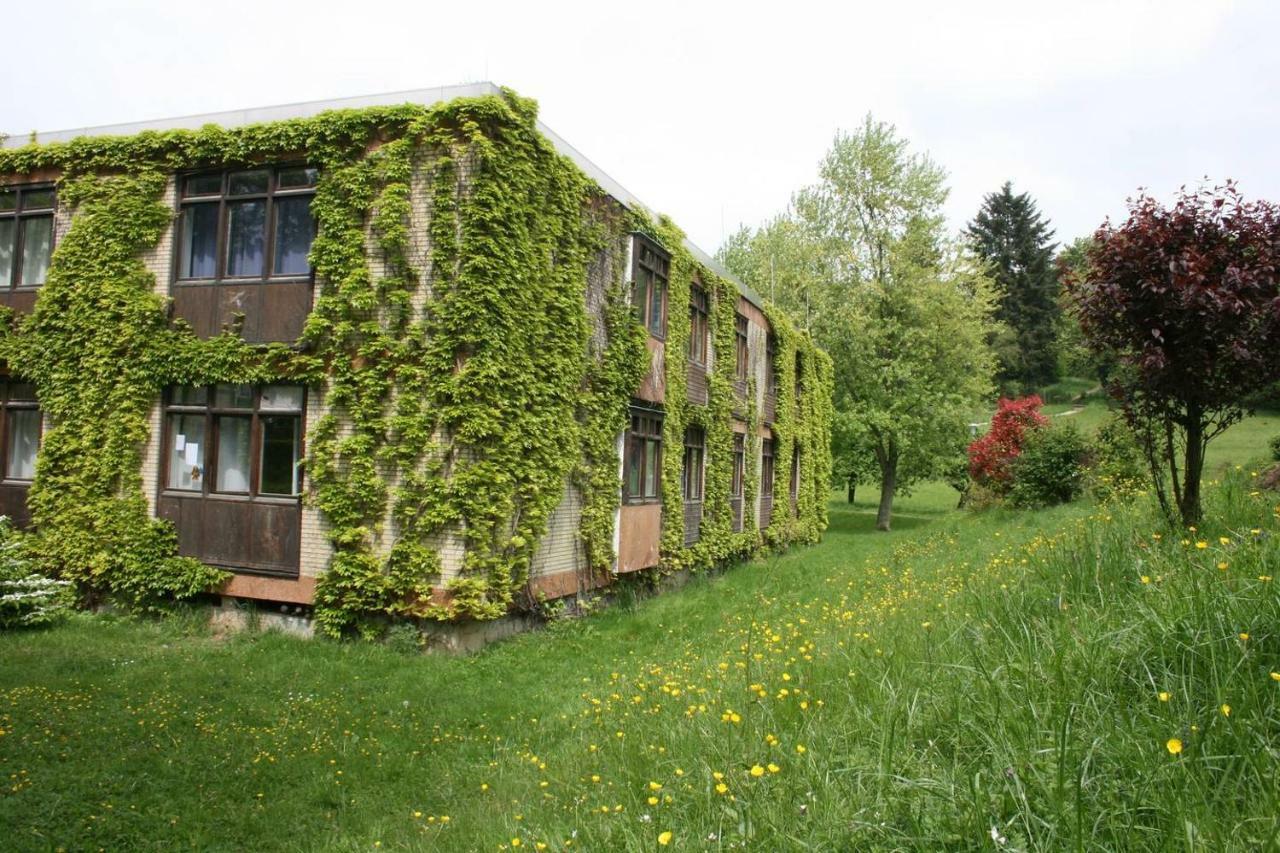 Parkblick Appartement - Entspannung Pur! Ober-Hambach Eksteriør bilde